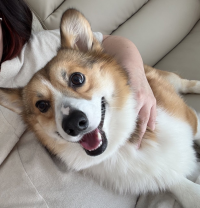 らりさん