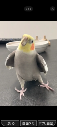 Reid