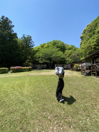にょにん