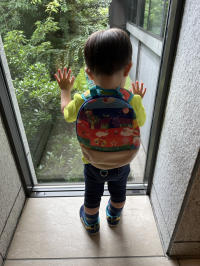 がんちゃん