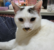 クーみん