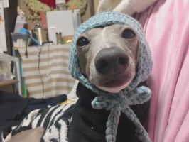のん