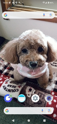 マリン