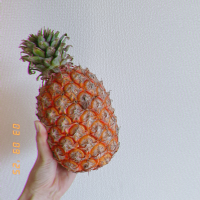 あんこ
