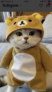 まろ