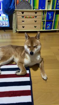 ちく