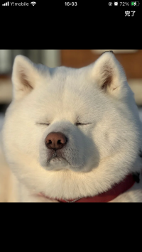 どら