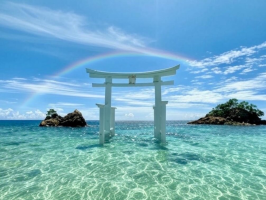 みー