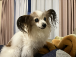 えむな