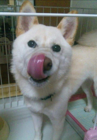 拓郎ちゃんママ