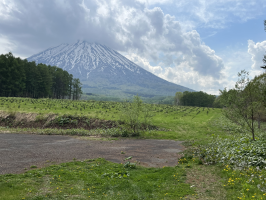 さやか
