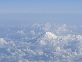 かもみーる