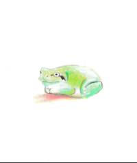 nanaso