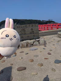 くるみ