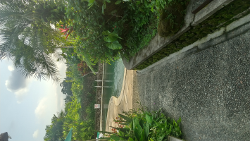 フルフル