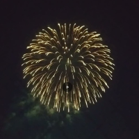 ライラック