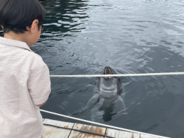 ちゃんち