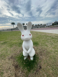 つちのこ