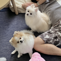 こみ