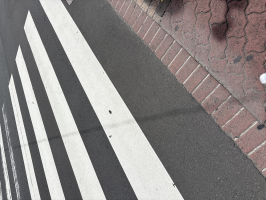 たぬ