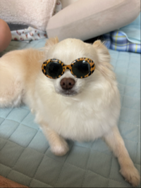 みき