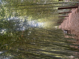 ろ