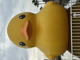 あひる