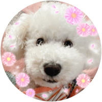 りんたろう