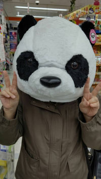 ぱんだ