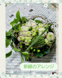 アリエル725