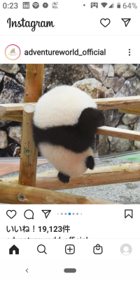 あや