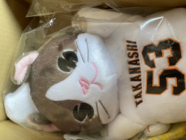 もりもり