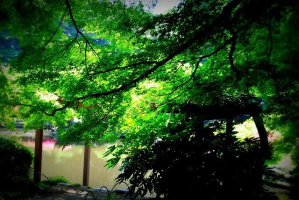 夏夜