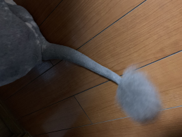 モフモフ