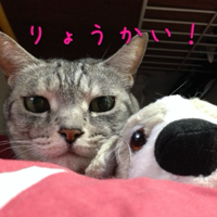 卵ご飯