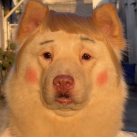 ぶーこ
