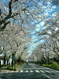 早月