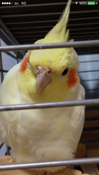 ウントモ