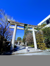 無