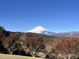 haruyoski