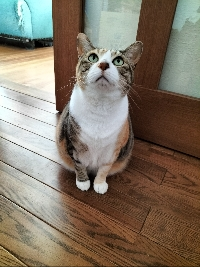 すな