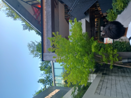 あんこ