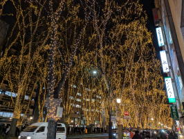 麻樹