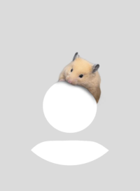 はるたか
