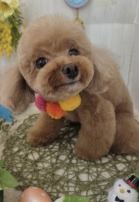 moka＆COCO