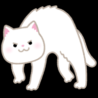 ももち