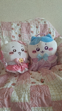 さらん