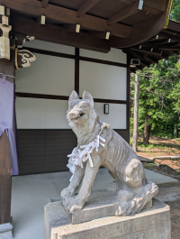 リボン