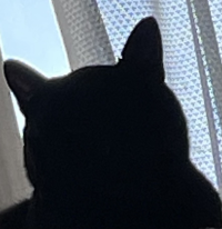 よーちゃん