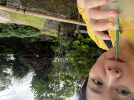 かな